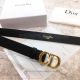 AAA Quality Dior Black Leather Belt All Gold Buckle (3)_th.jpg